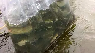 Is This A Grain Farm Or A Fish Farm?