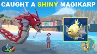 SHINY HUNTING MAGIKARP in Pokemon Scarlet