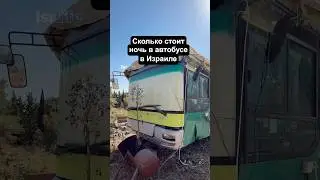 НОЧЬ В АВТОБУСЕ! #израиль #путешествия