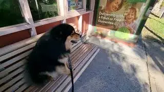 Triton discovers oldfangled bus shelter rolling ads