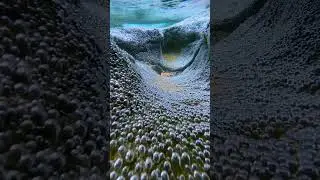underwater mobile video | how to shoot underwater video with phone #iphone #underwatershots