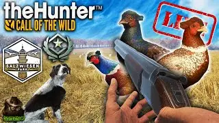 NEW UPDATE GRIND! Lets Get Great One Pheasant #2 On Salzwiesen Park! Call of the wild