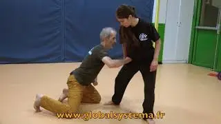 Systema - La précision dans les coups de poing