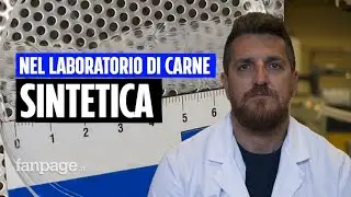 Viaggio nel laboratorio di carne sintetica a Tor Vergata: 