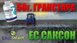 50 грам Гранстара на соняшник ЕС Саксон