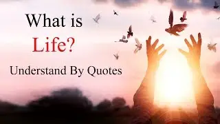 What is Life? Understand By These 12 True Meaningful Life Quotes