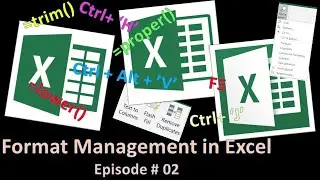 Decimal Format | Text & Number format | Percent format | Manage blank cells format