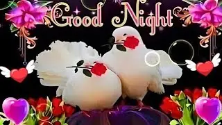 Good night video ,Good night status, Good night song,Good night photo ,#good night 