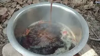 I MAKE RED TEA IN OUR GARDEN   #tea ☕☕