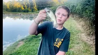 Lew's Xfinity vs Lew's Classic Speed Spool Baitcaster
