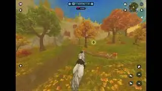 SSO Playfull Foxes Race ~ 0:44:66