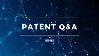 Is IP Litigation Important?