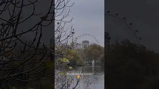 Already missing Autumn in London? London 2024 #autumninlondon #decemberinlondon