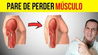 3 MELHORES SUPLEMENTOS PARA MANTER MÚSCULO