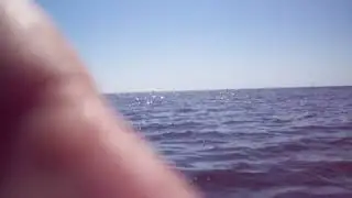 IMGP0006