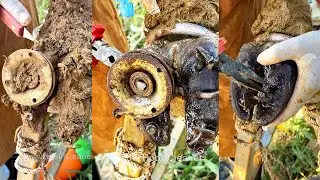 Deep Cleaning Cow Foot Cutting, Trim and Cleaning Rescued cow hoof from hunter's screw trap