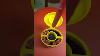 Sour gummy sticks #sourgummy #gummy