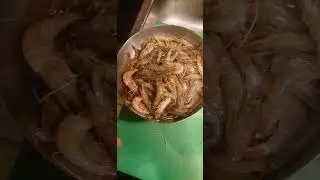 I'm Full And Finished. Save Some Food For My Wife And Now cook Shrimps in New A Way Part 4