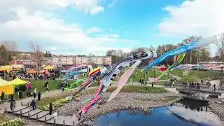 The Roihuvuori Hanami Festival in Helsinki .  Celebration of cherry blossoms and Japanese culture
