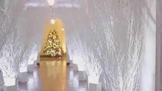 White House Christmas decorations unveiled