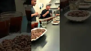 Coffee education workshop, Introduction to Cupping, today at Bellwether HQ. #coffeeshop #coffee