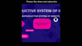 Reproductive system in insects#zoology notes