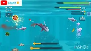 Hungry Shark 🦈 game video  watch now 😱😱😱 #gamelover1 #video #attack #shark #games #hungryshark #fish