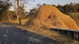Village #village #villagelife 
