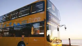 Northern Beaches B-Line Bus Service (15 sec)