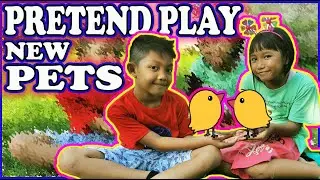 Hafiz and Aulia Pretend Play with New Pets Chicken.
