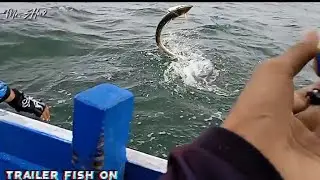 Casting Babon Barracuda 4 KG || Fugu Ryu II with Magno Navigator || Lure Floating