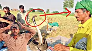 Big Dangerous Snake | Khatnaak Saanp A K Dakh loo 🐍