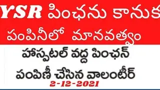 YSR pension Kanuka latest news| YSR pension kanuka distribution latest news@eduscheme
