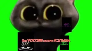 Все Vocoded на кота Scatman.