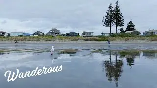 Dog Walking Mode - Relaxing Beach Walk - Low level camera angle from a dogs perspective 🐶🐾🐕 4K