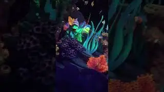 Under the sea malfunction ride Disney world￼