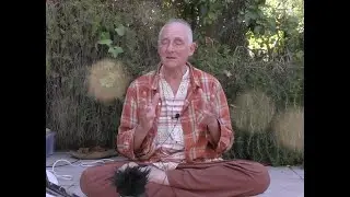 CONSCIOUSNESS AND THE BRAIN