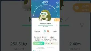 Swinub Comm Day Classic #Stardust #PokemonGo #Shortsfeed