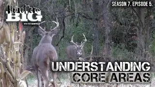 Buck Bedding Areas: Why They Shift