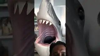 chocolate race #sculpture #shark #cake ,#shortvideo