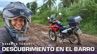 UN LUGAR LLENO DE HUESOS en la costa correntina | Perugorriá - Goya