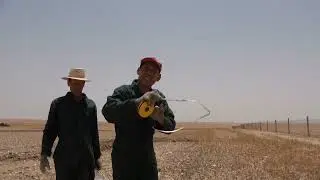 عملية تسطير أشجار الزيتون بتقنيات صحيحة و أهم الإرشدات من منطقة بنجرير رحامنة