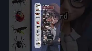 Learn Animal & Insect Names in English #english #shortenglish #learning #vocabulary #animals