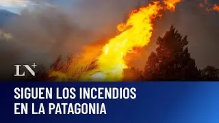 Argentina bajo fuego: más de 200 mil hectáreas quemadas por los incendios