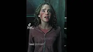 Do i need to give reasons on why #hermionegranger is the best?