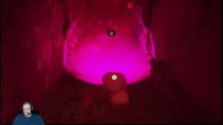 Durch die Kanalisation | Stray | PS5 | Folge 08