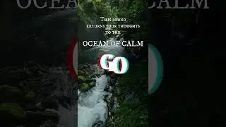 12 Seconds to Balance Your Mind 🧠|Quick Reset|Deep Harmony. Day 9/365 #ASMR #CalmVibes #Relaxation