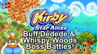 Kirby Star Allies Boss Battle Gameplay - King 