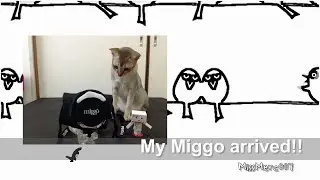 A first look at My Miggo - Grip and Wrap from Kickstarter (2014/08/31)