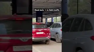 Black bulls in Delhi traffic today 😎#viral#shorts#lamborghini#trending #fyp #youtubeshorts#ytshorts